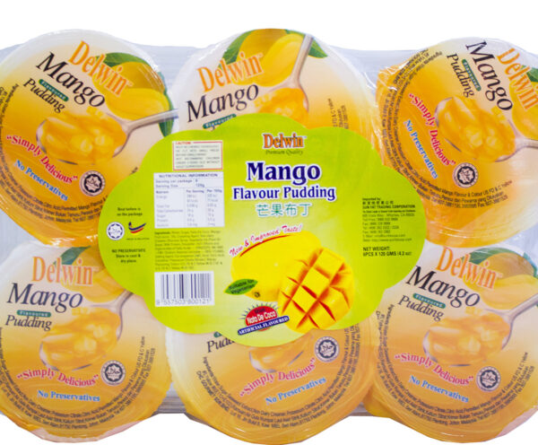 Delwin Nata Mango Pudding [L]