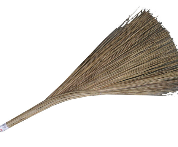 Sf (Vn) Broom (Choi Tau Cau)